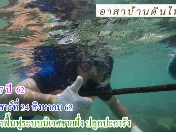 รุ่น 7 ปี 62 วันเสาร์ที่ 24 สิงหาคม 62 รับอาสาฟื้นฟูระบบนิเวศ ชายฝั่ง (ปลูกปะการังชายฝั่ง)  โครงการอาสาฟื้นฟูระบบนิเวศชายฝั่ง คืนความอุดมสมบูรณ์ ให้ทะเลไทย